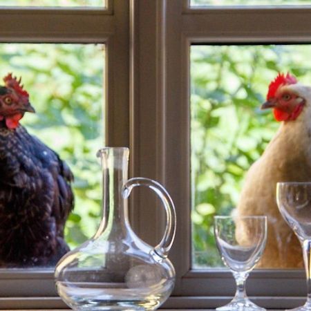 Lindenhof Chezartistes Hotell Loose Exteriör bild